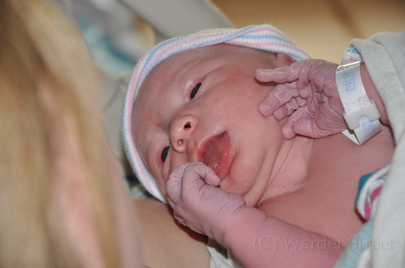 William's Birth 07.jpg